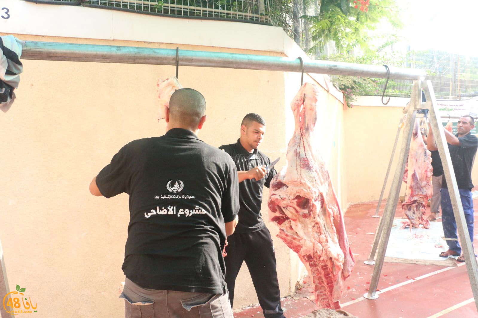 lo7om jam3iya u3 (3).jpg